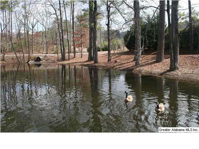 777 Carl Raines Lake Road Birmingham, AL 35244 - Photo 2 of 32