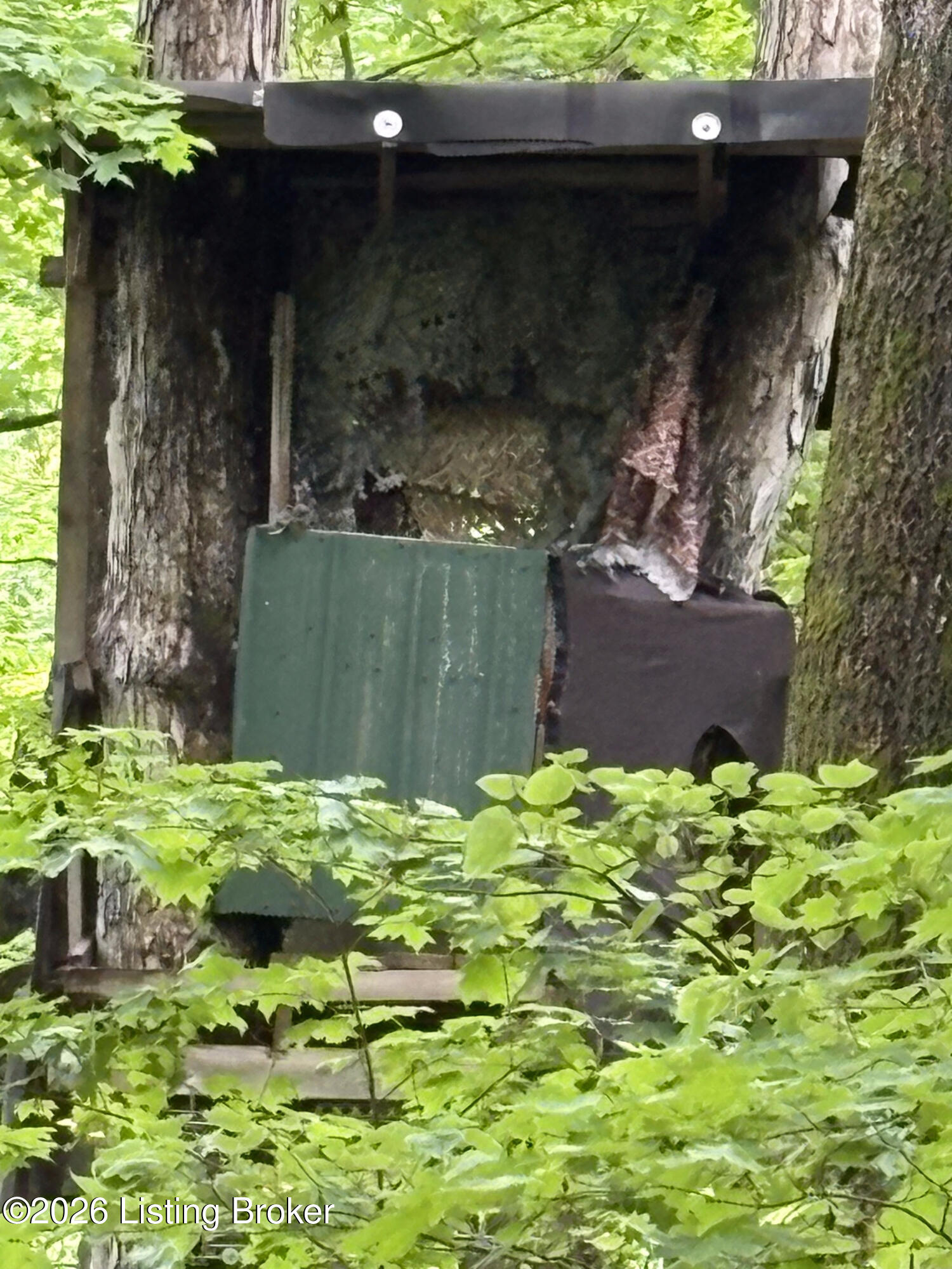 280 Oolite Road Battletown, KY 40104 - Photo 24 of 62 23_IMG_1172