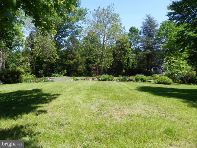 1705 South Road Baltimore, MD 21209 - Photo 12 of 29 a view of green field with trees in the background