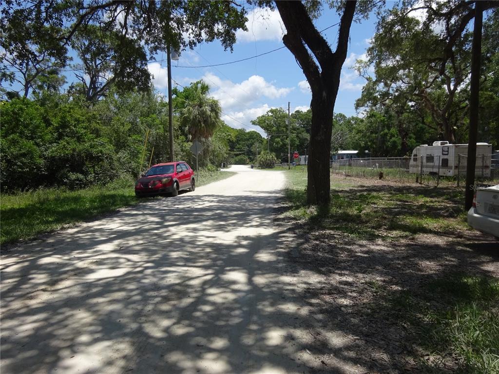 8617 Broad Street New Port Richey, FL 34654 - Photo 11 of 14 a view of a yard with a tree