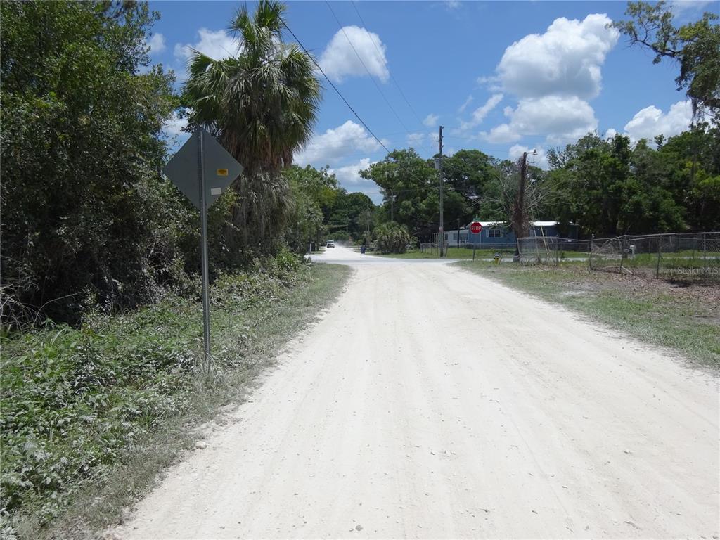 8617 Broad Street New Port Richey, FL 34654 - Photo 12 of 14 a view of a yard with plants and trees