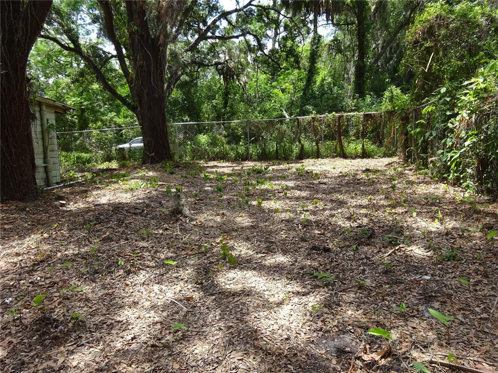 8617 Broad Street New Port Richey, FL 34654 - Photo 7 of 14 a view of backyard with green space