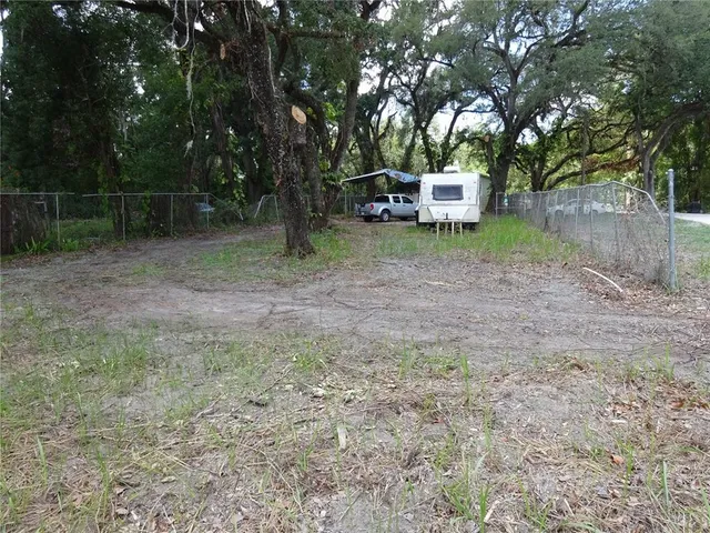 a view of a backyard with large trees