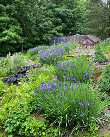 18 Old North Road Worthington, MA 01098 - Photo 7 of 35 Gallery Image 7