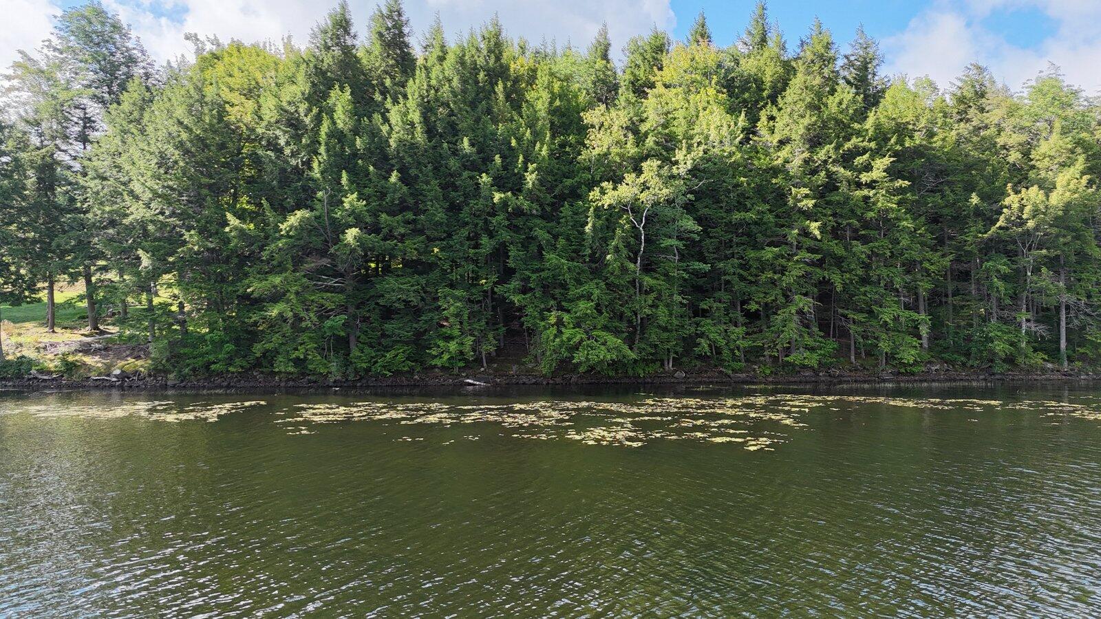 6 Lake Road Wilton, ME 04294 - Photo 35 of 60 30-DJI_20260824092810_0020_D