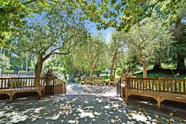 a view of street with wooden deck and trees