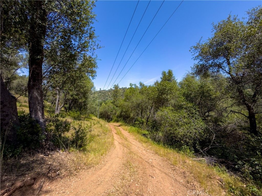 10 Miller Road Mariposa, CA 95338 - Photo 28 of 34 a view of a yard with wooden fence