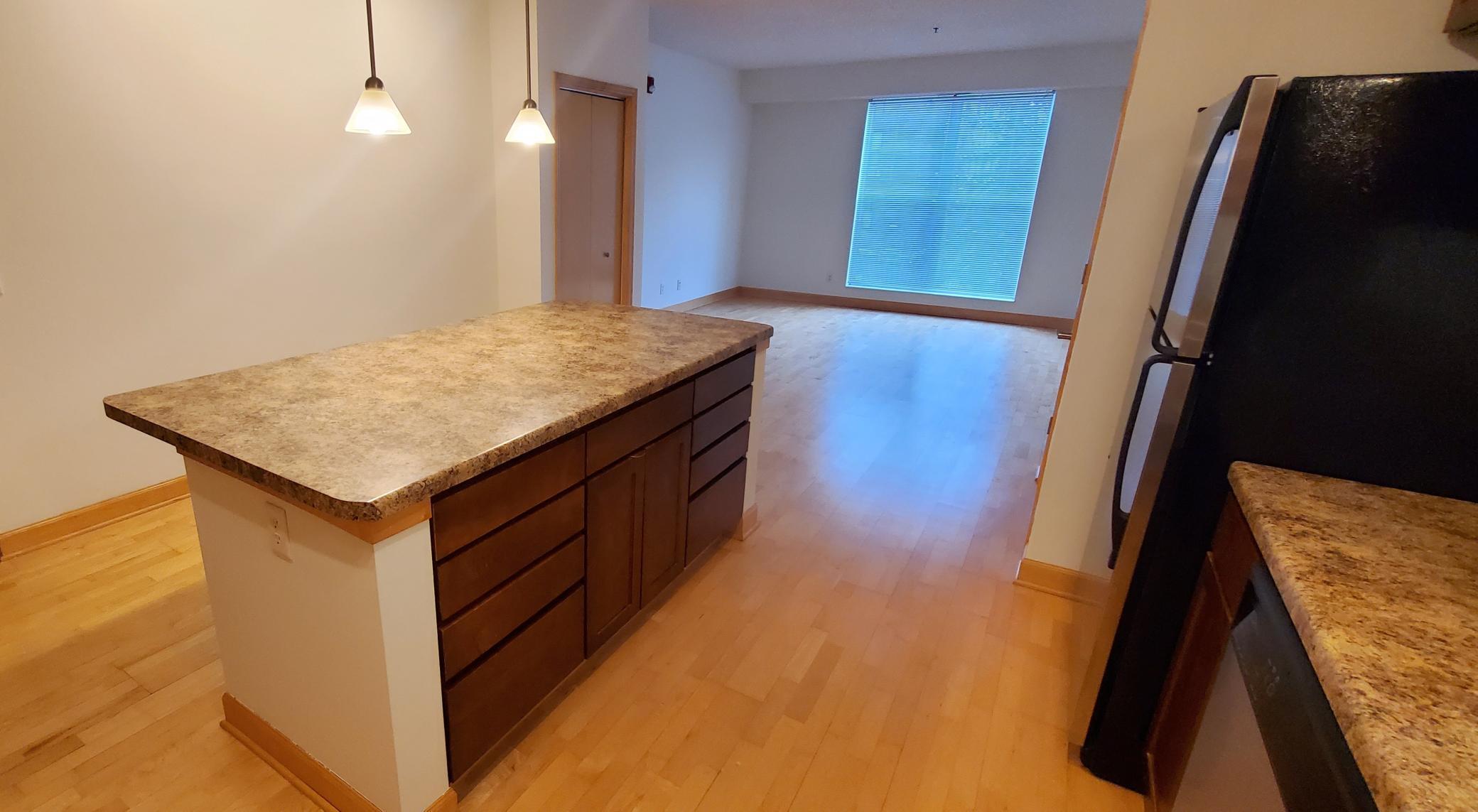 1805 3rd Avenue South, Unit 202 Minneapolis, MN 55404 - Photo 13 of 14