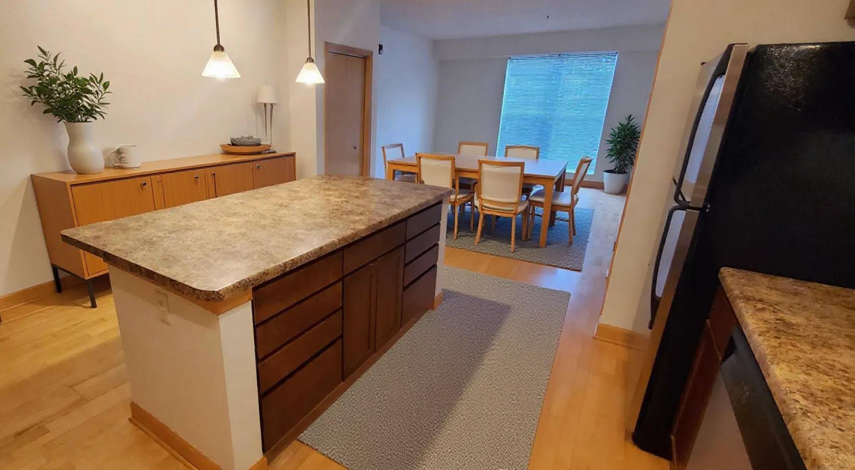 1805 3rd Avenue South, Unit 202 Minneapolis, MN 55404 - Photo 5 of 14