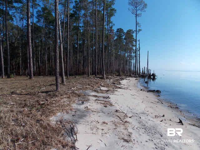 9094 Bay Road Magnolia Springs, AL 36555 - Photo 10 of 27 Bay Frontage