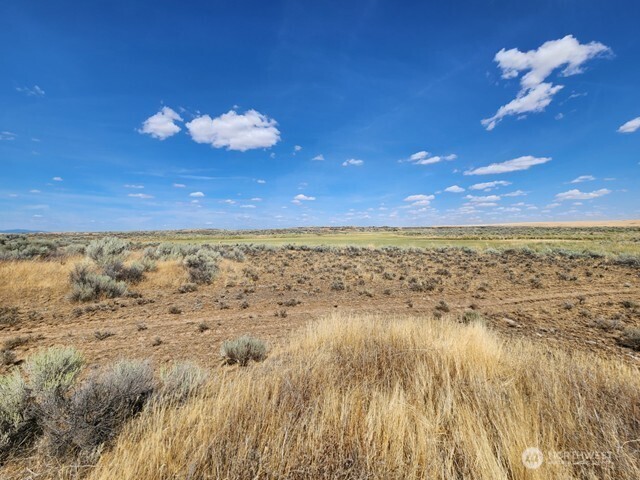 0 Earl Road North Davenport, WA 99122 - Photo 1 of 30