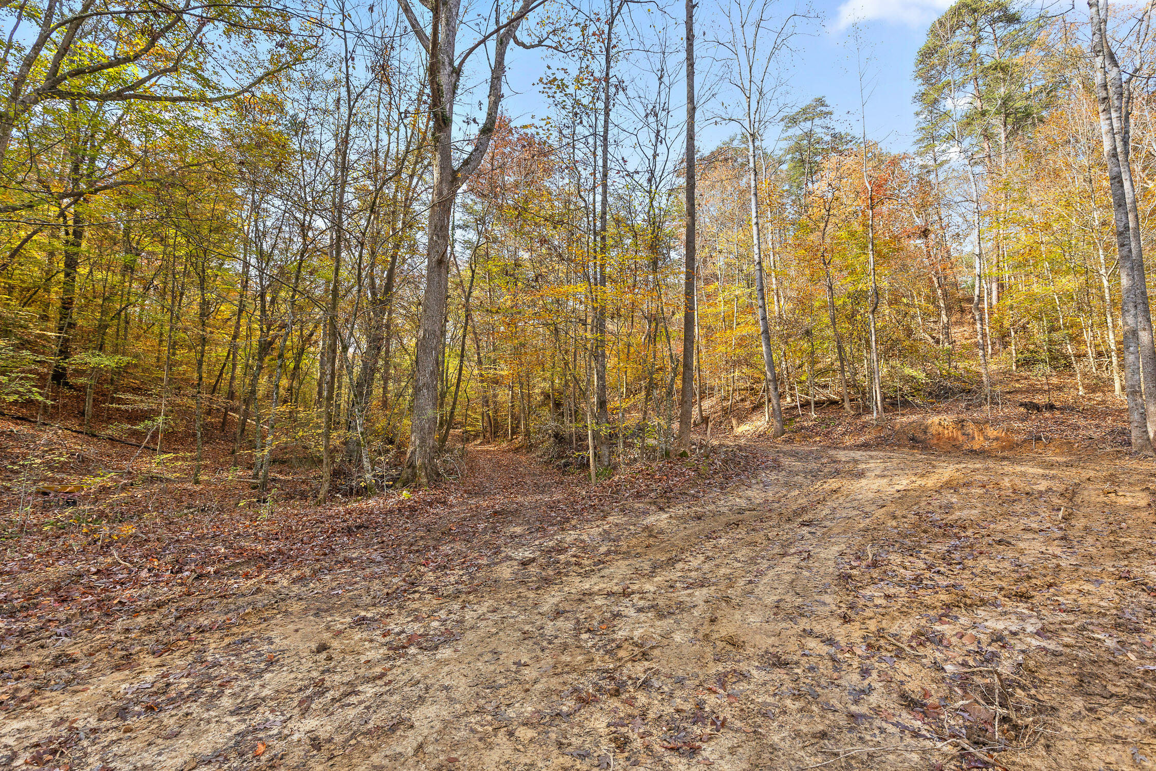 255 Hays Hollow Road Flintstone, GA 30725 - Photo 11 of 21 Hays-4