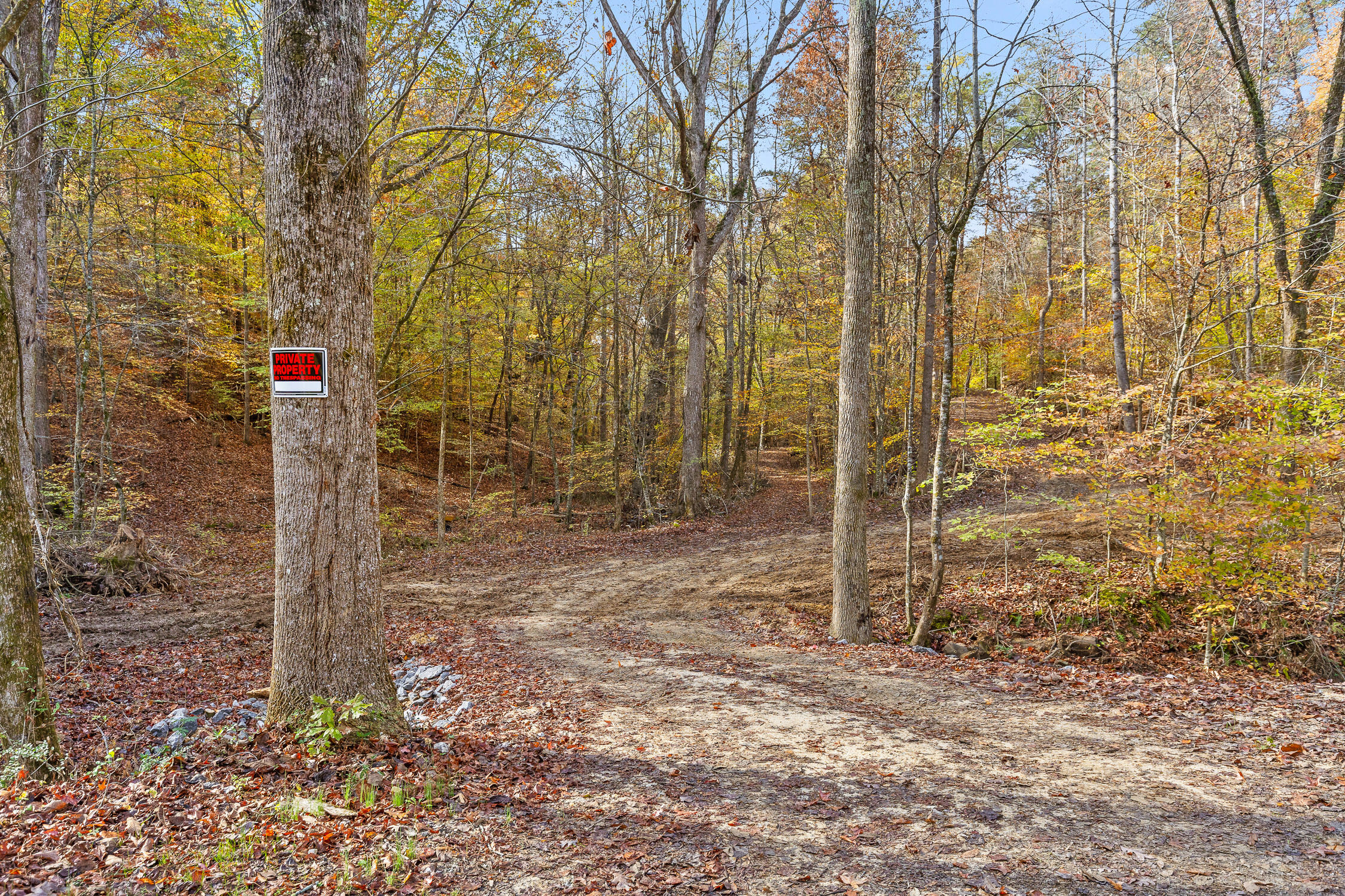 255 Hays Hollow Road Flintstone, GA 30725 - Photo 3 of 21 Hays-3