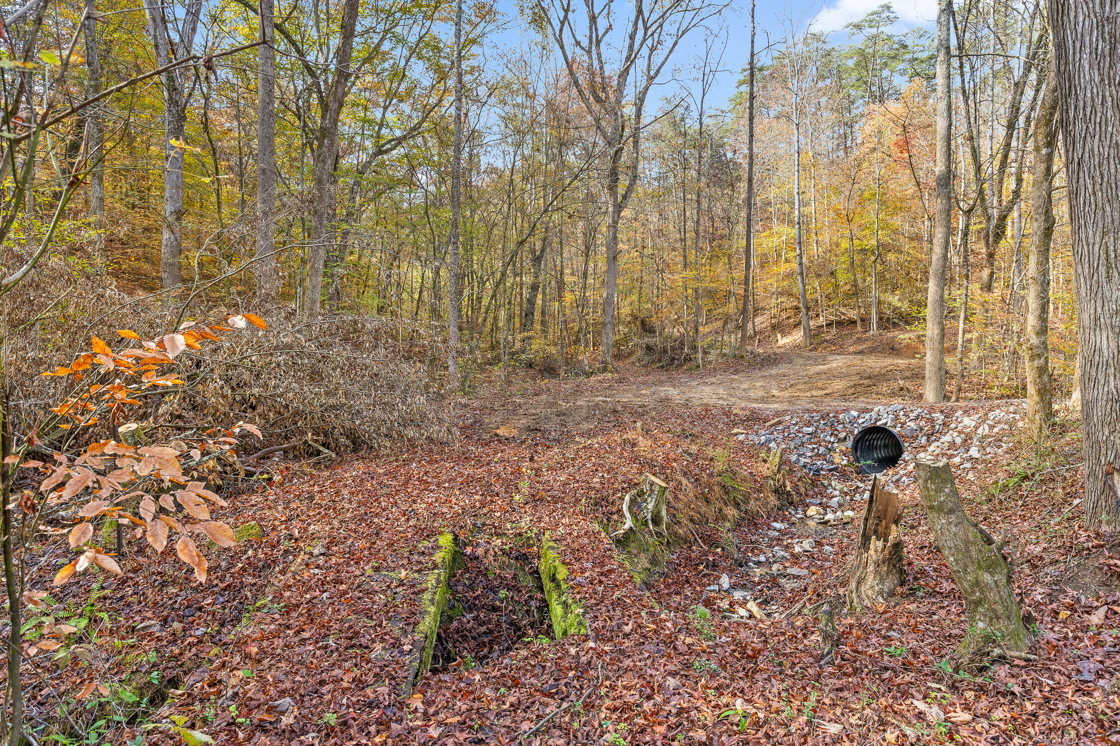 255 Hays Hollow Road Flintstone, GA 30725 - Photo 4 of 21 Hays-2