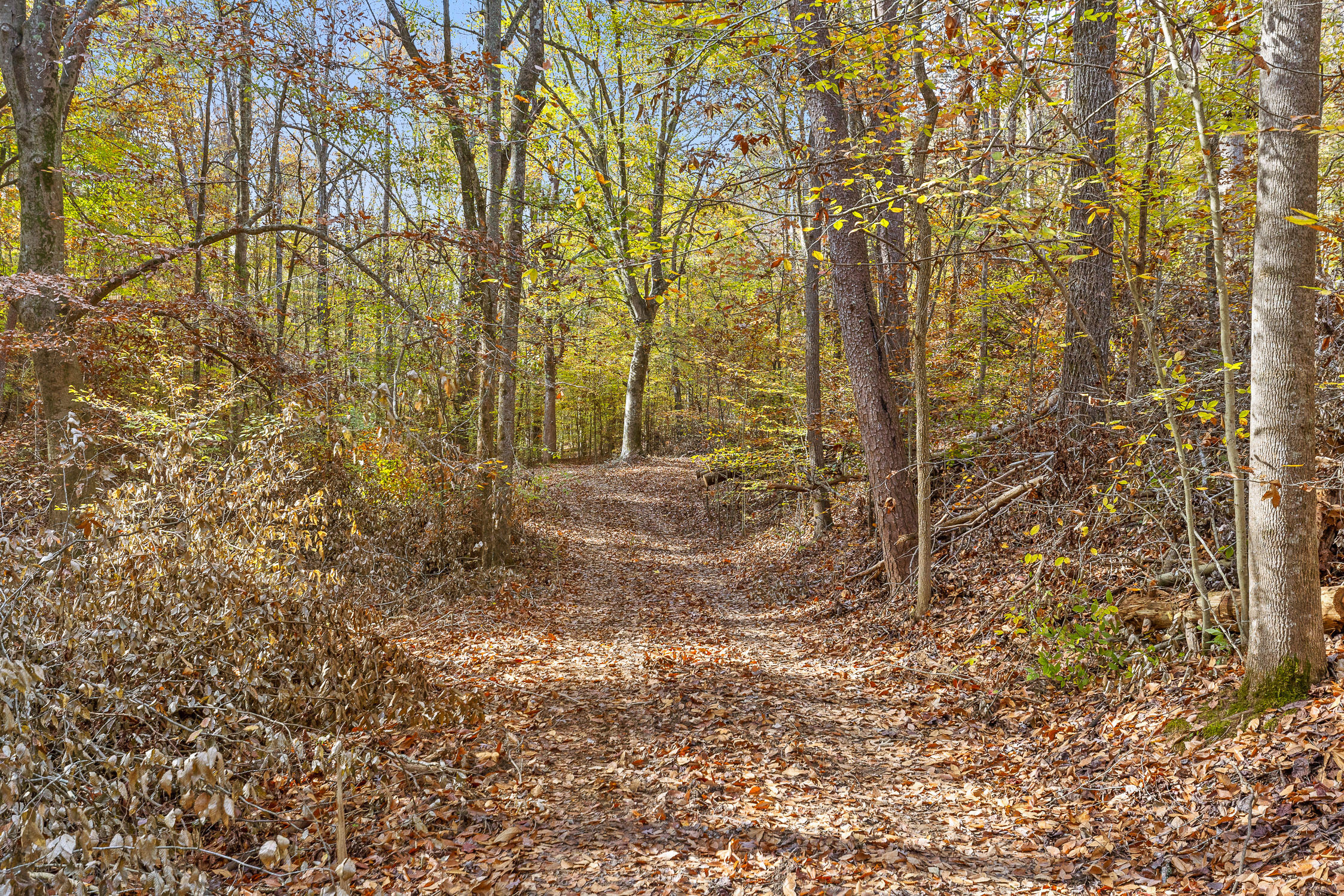 255 Hays Hollow Road Flintstone, GA 30725 - Photo 6 of 21 Hays-5