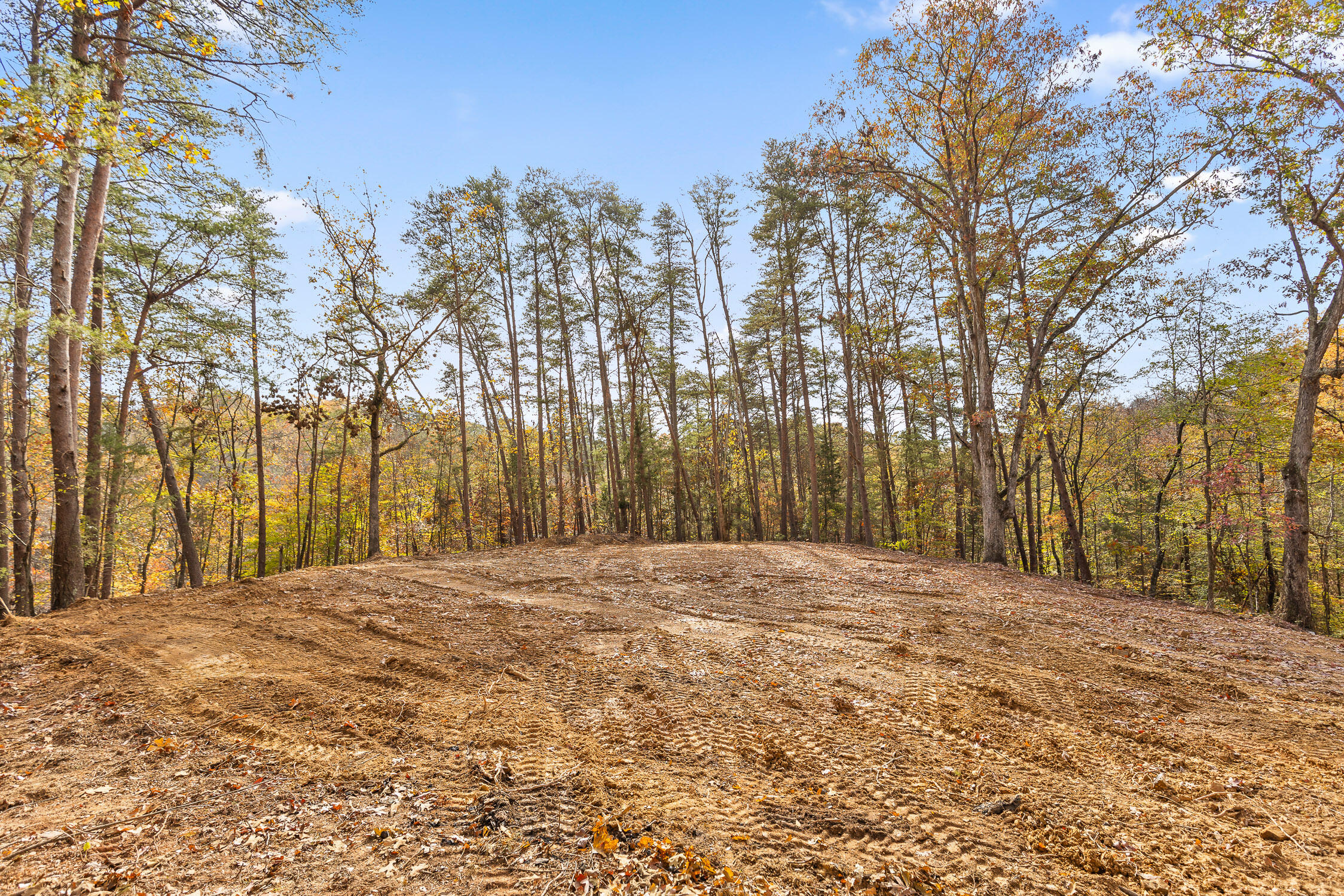 255 Hays Hollow Road Flintstone, GA 30725 - Photo 8 of 21 Hays-14