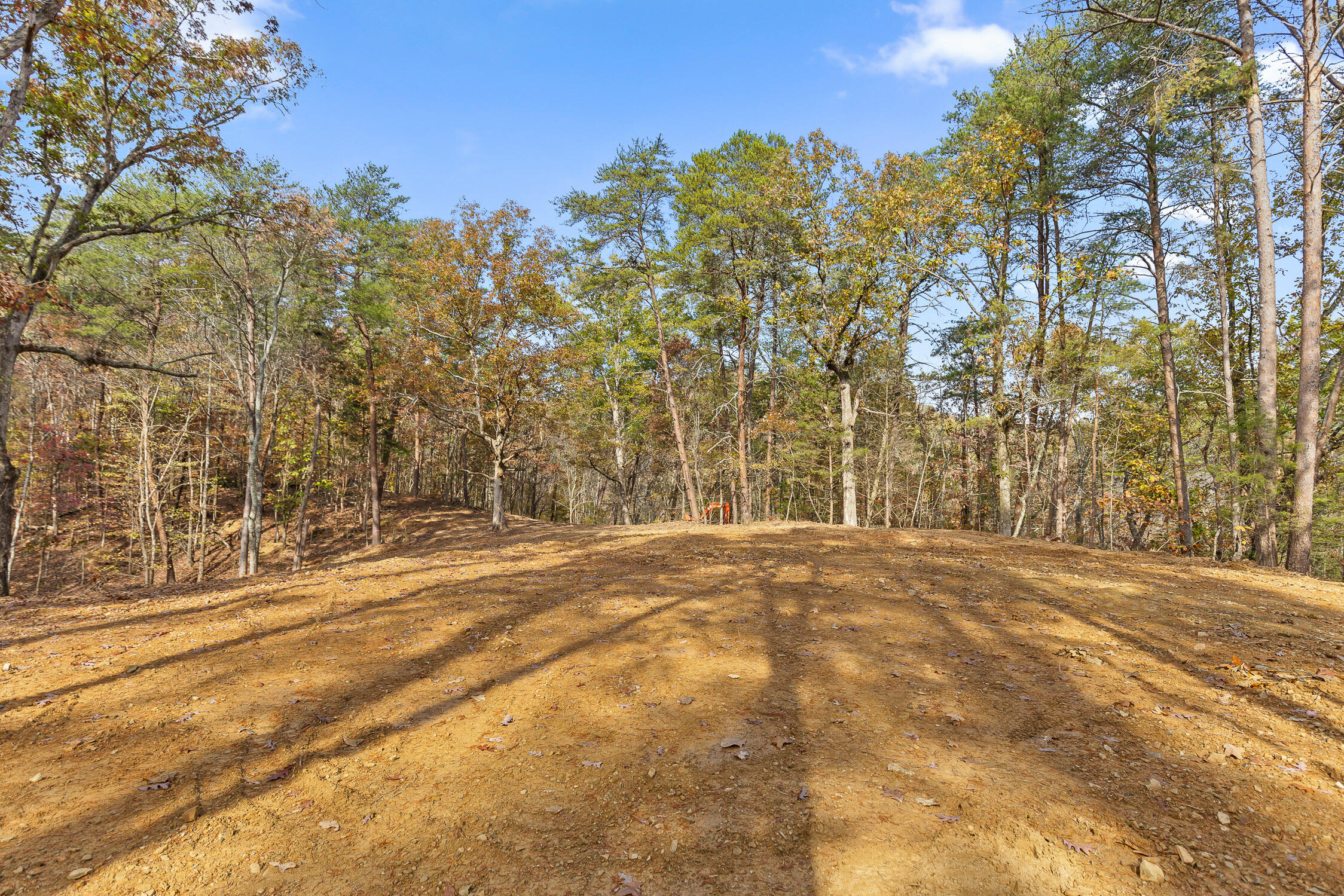 255 Hays Hollow Road Flintstone, GA 30725 - Photo 9 of 21 Hays-13