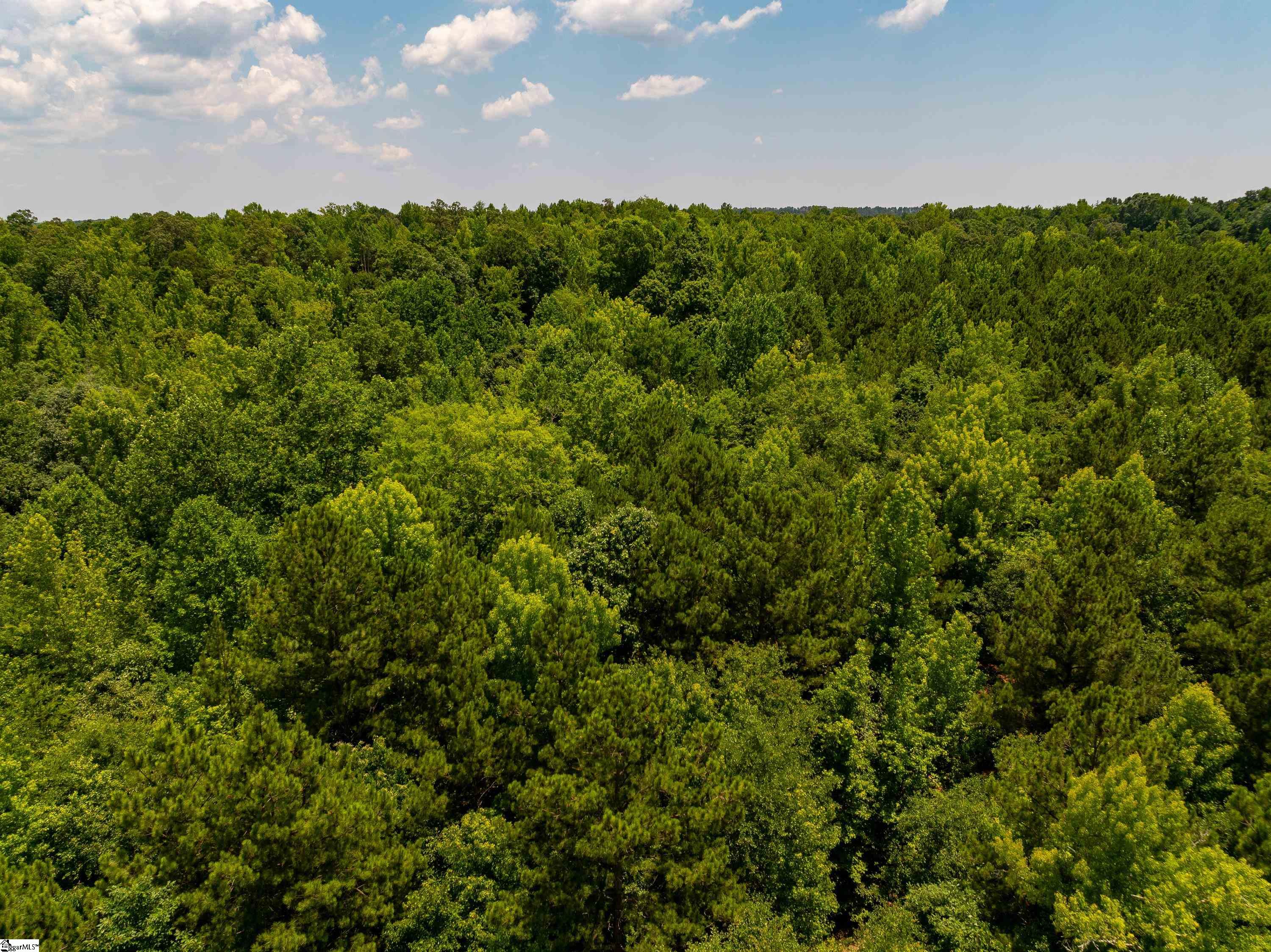 13 Goldmine Road Spartanburg, SC 29302 - Photo 14 of 29 Gallery Image 14