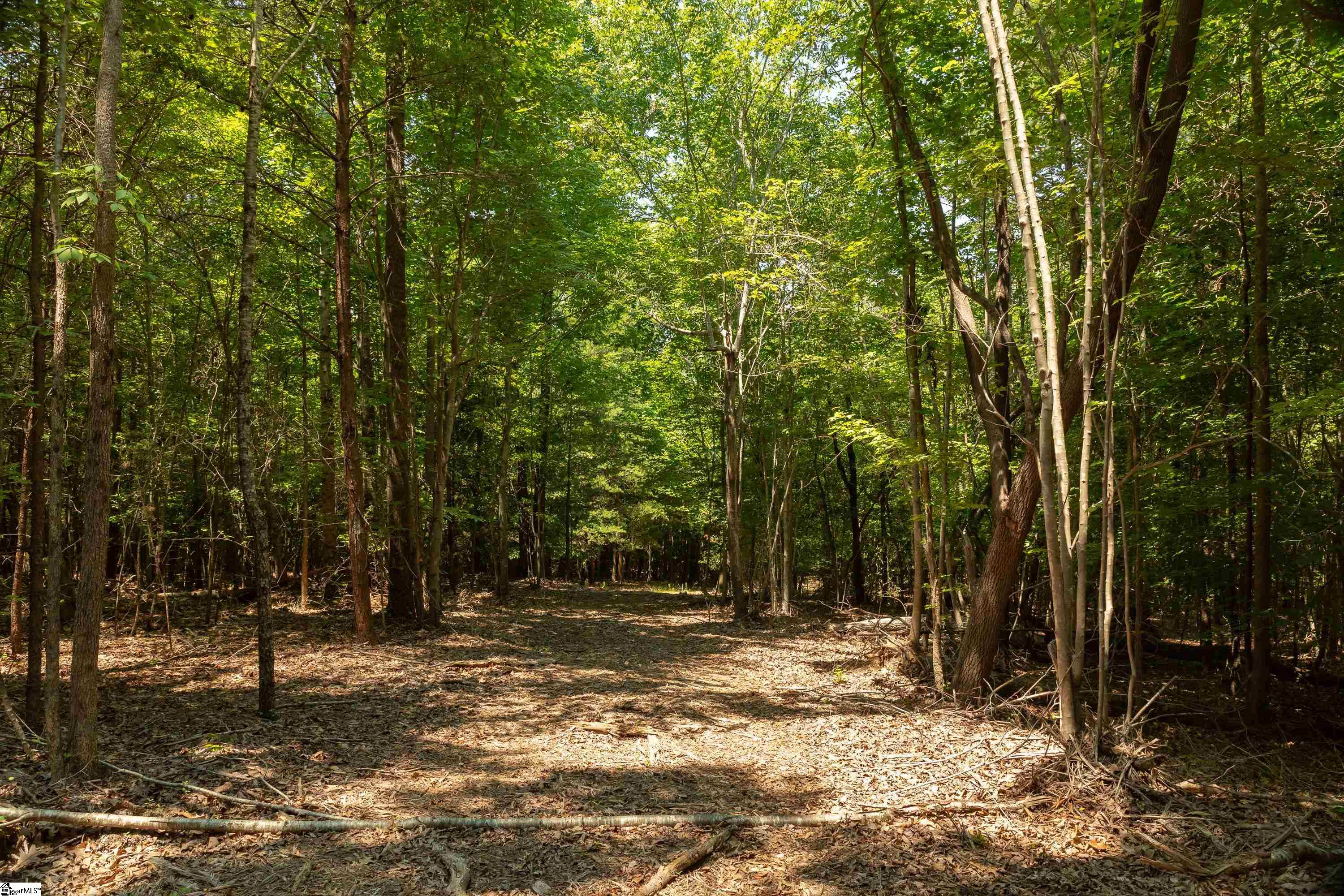 13 Goldmine Road Spartanburg, SC 29302 - Photo 17 of 29 Gallery Image 17