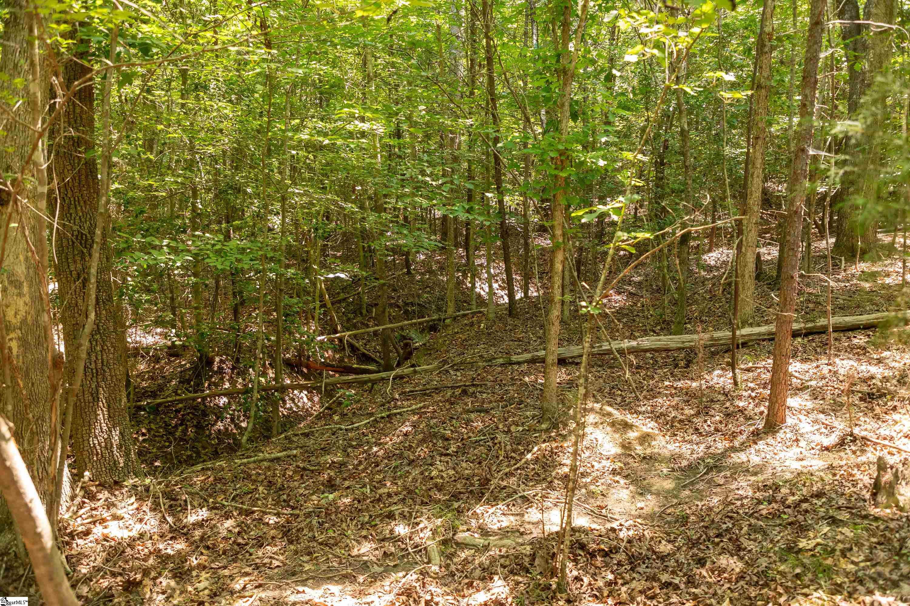 13 Goldmine Road Spartanburg, SC 29302 - Photo 18 of 29 Gallery Image 18