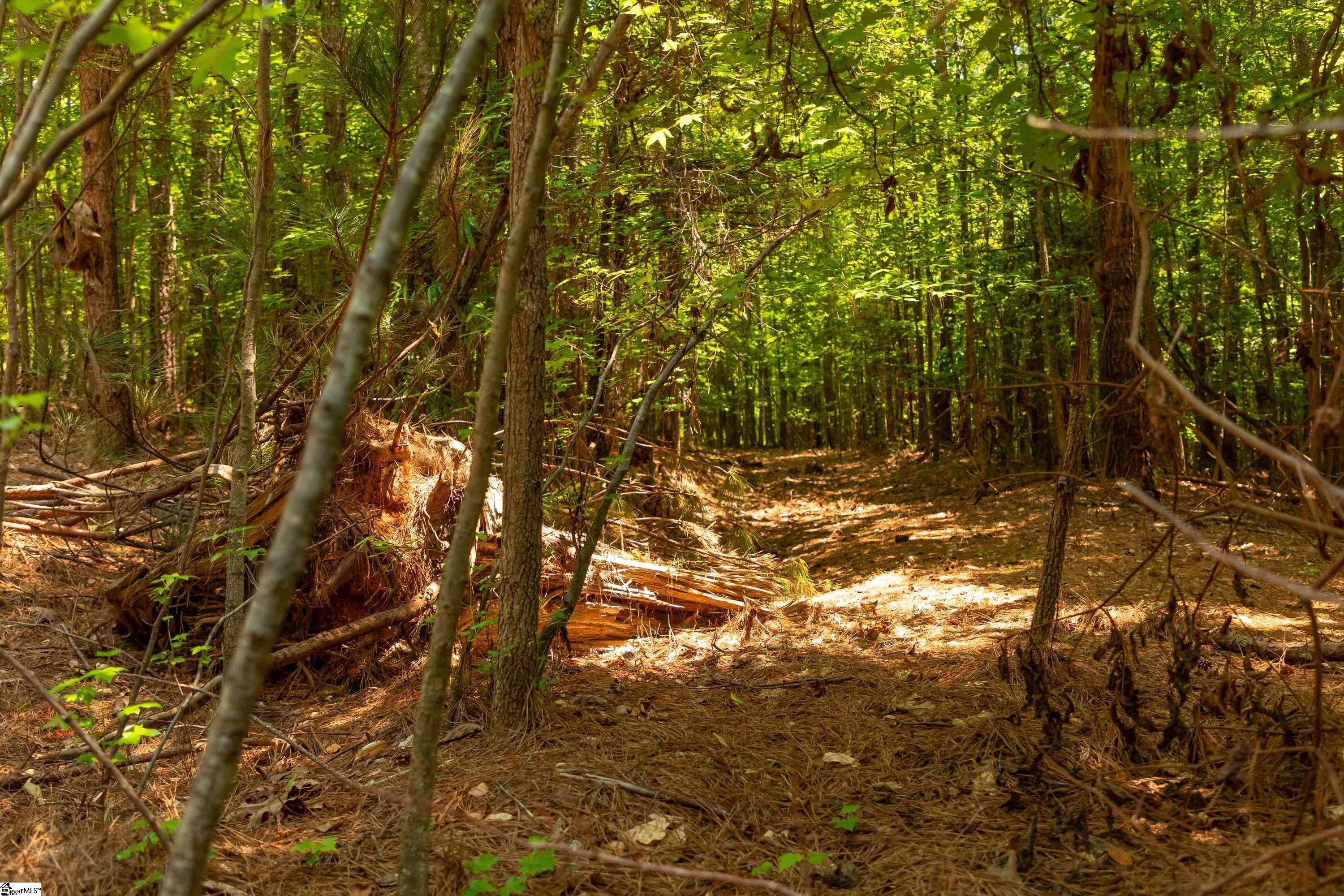 13 Goldmine Road Spartanburg, SC 29302 - Photo 25 of 29 Gallery Image 25