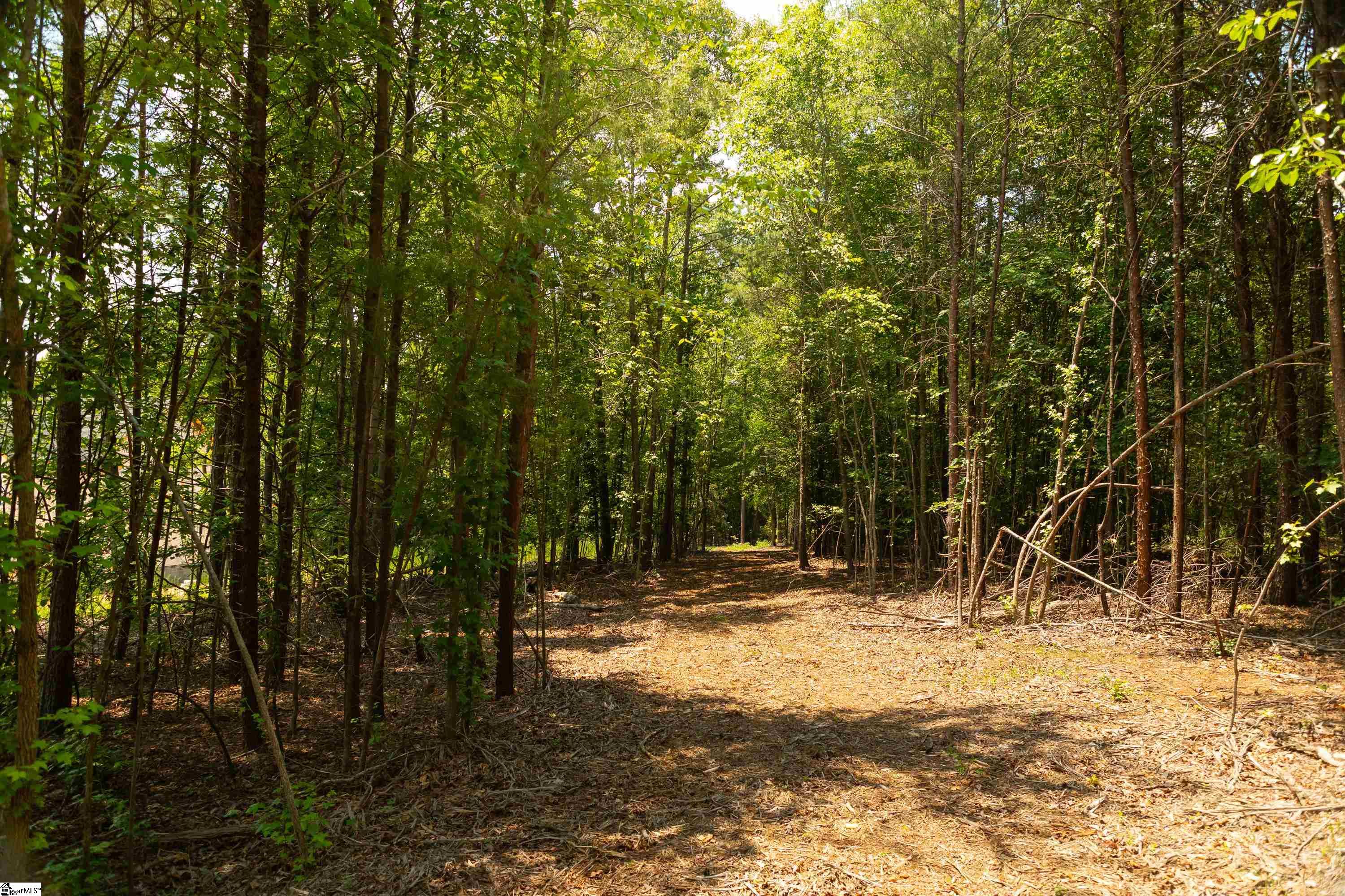 13 Goldmine Road Spartanburg, SC 29302 - Photo 26 of 29 Gallery Image 26