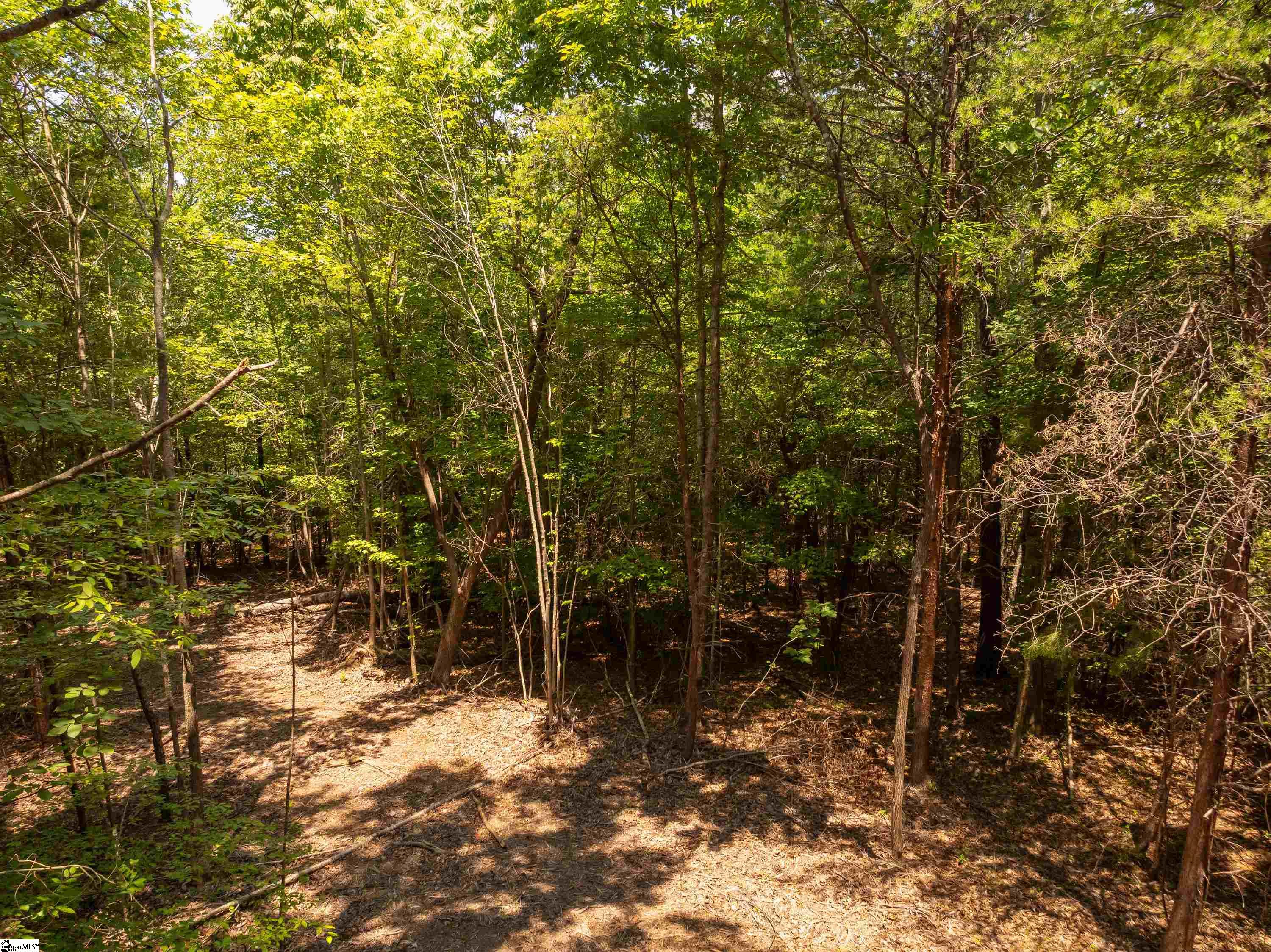 13 Goldmine Road Spartanburg, SC 29302 - Photo 27 of 29 Gallery Image 27
