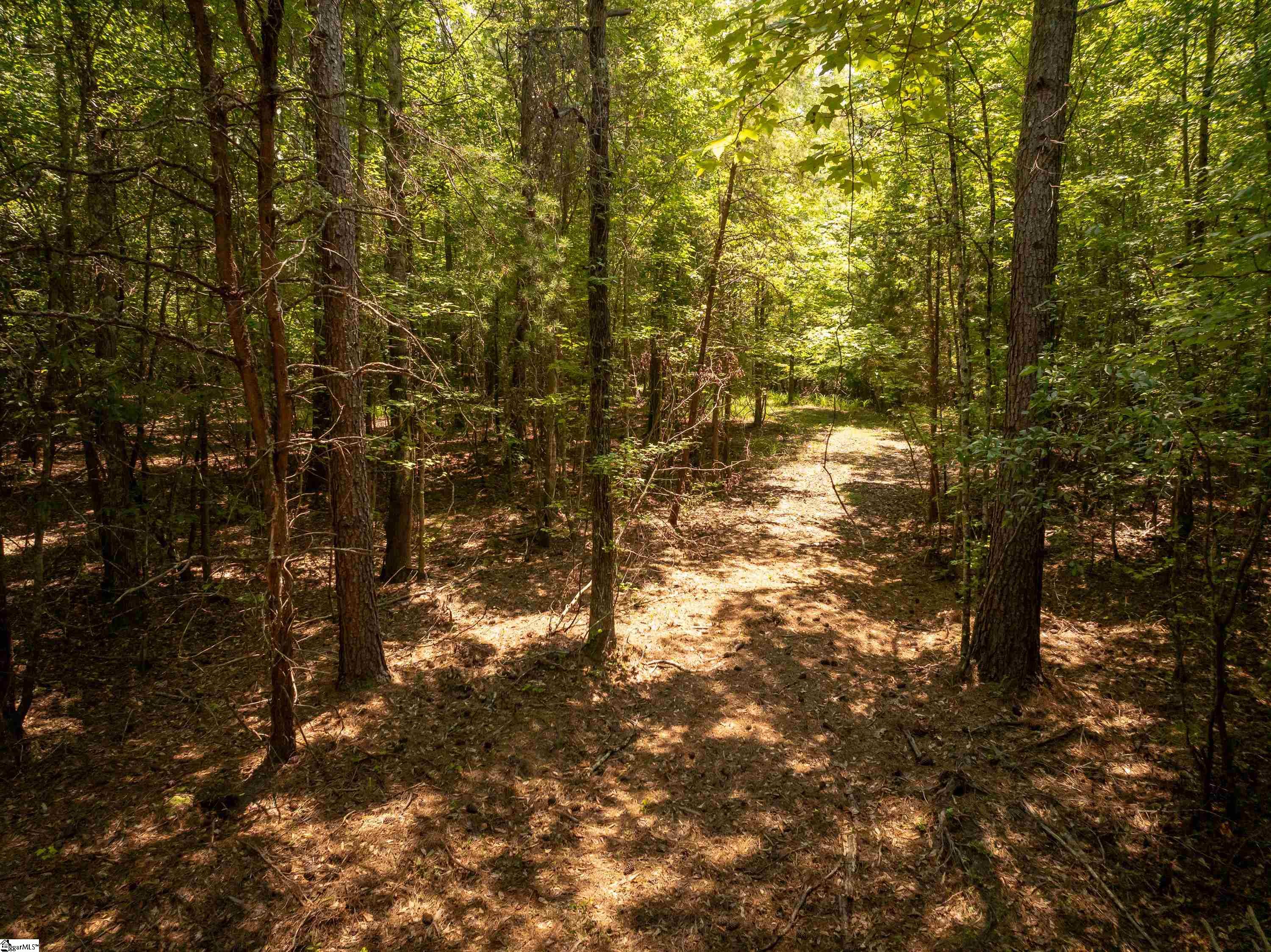 13 Goldmine Road Spartanburg, SC 29302 - Photo 29 of 29 Gallery Image 29