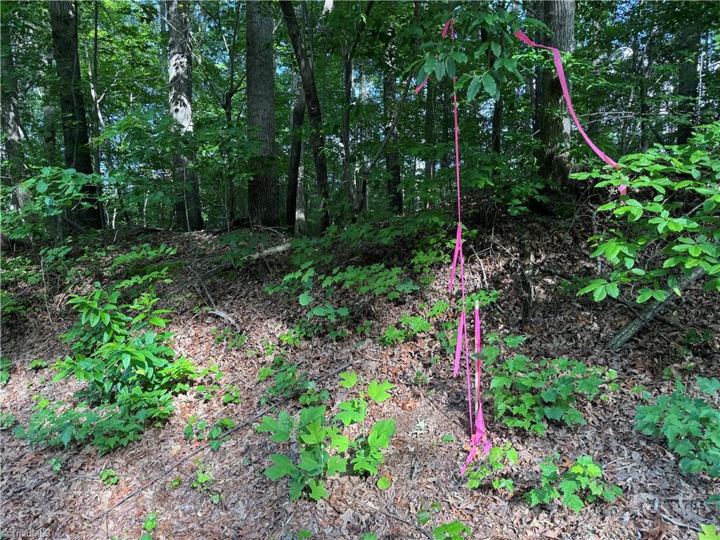4 Dover Church Road Seagrove, NC 27341 - Photo 2 of 3