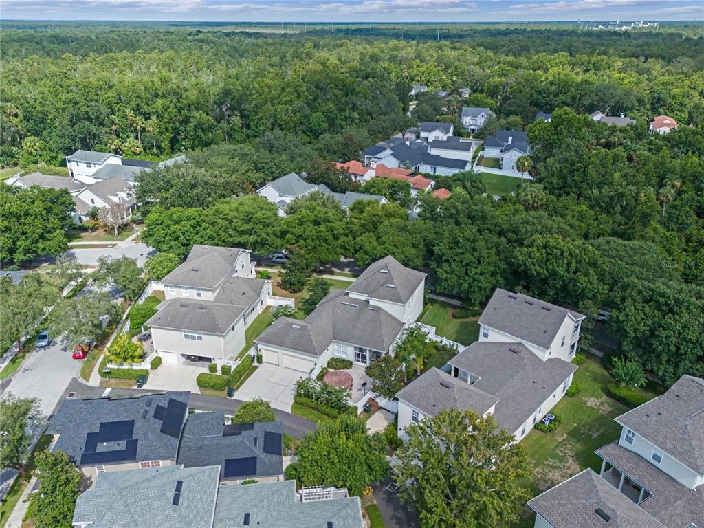 1438 Stickley Avenue Celebration, FL 34747 - Photo 46 of 72