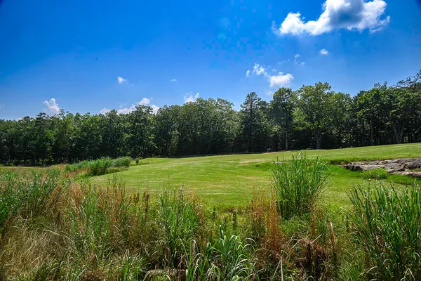 $99,500 | I-3 Arrow Ranch Road, Rising Fawn, GA 30738