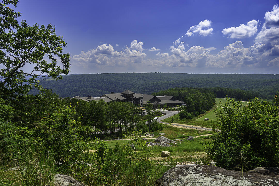 I-3 Arrow Ranch Road Rising Fawn, GA 30738 - Photo 12 of 16 Arrow Ranch-11