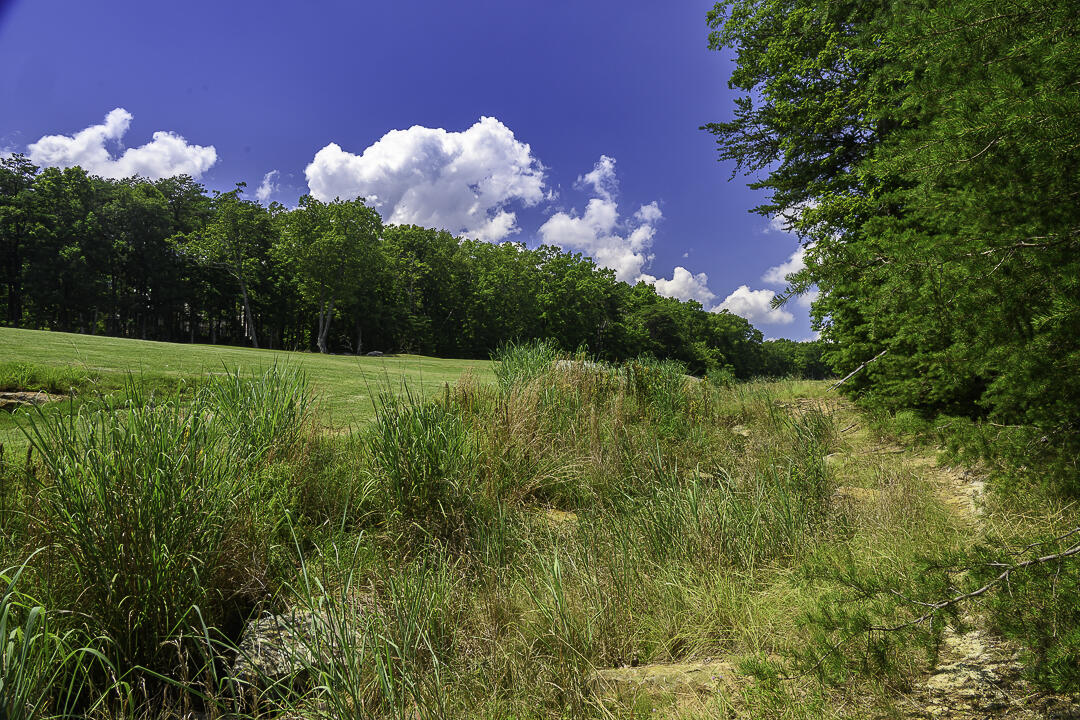 I-3 Arrow Ranch Road Rising Fawn, GA 30738 - Photo 2 of 16 Arrow Ranch-6