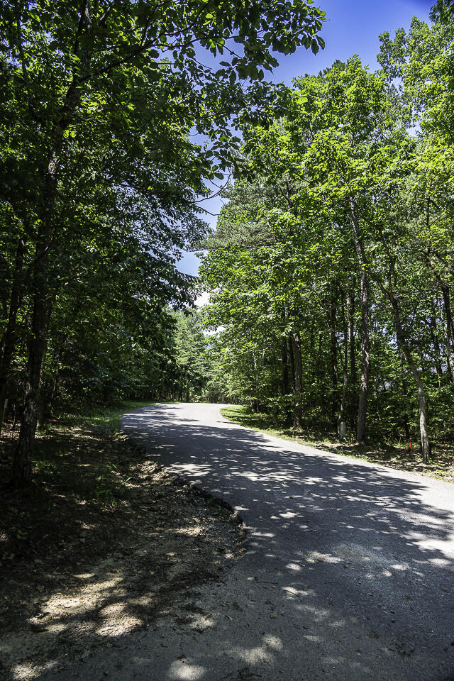 I-3 Arrow Ranch Road Rising Fawn, GA 30738 - Photo 6 of 16 Arrow Ranch