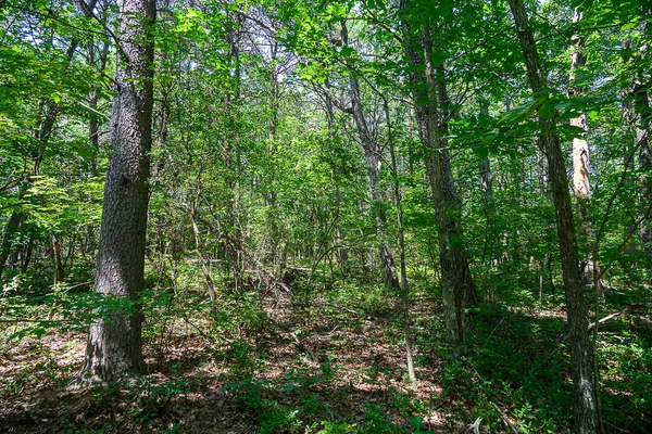 $99,500 | I-3 Arrow Ranch Road, Rising Fawn, GA 30738