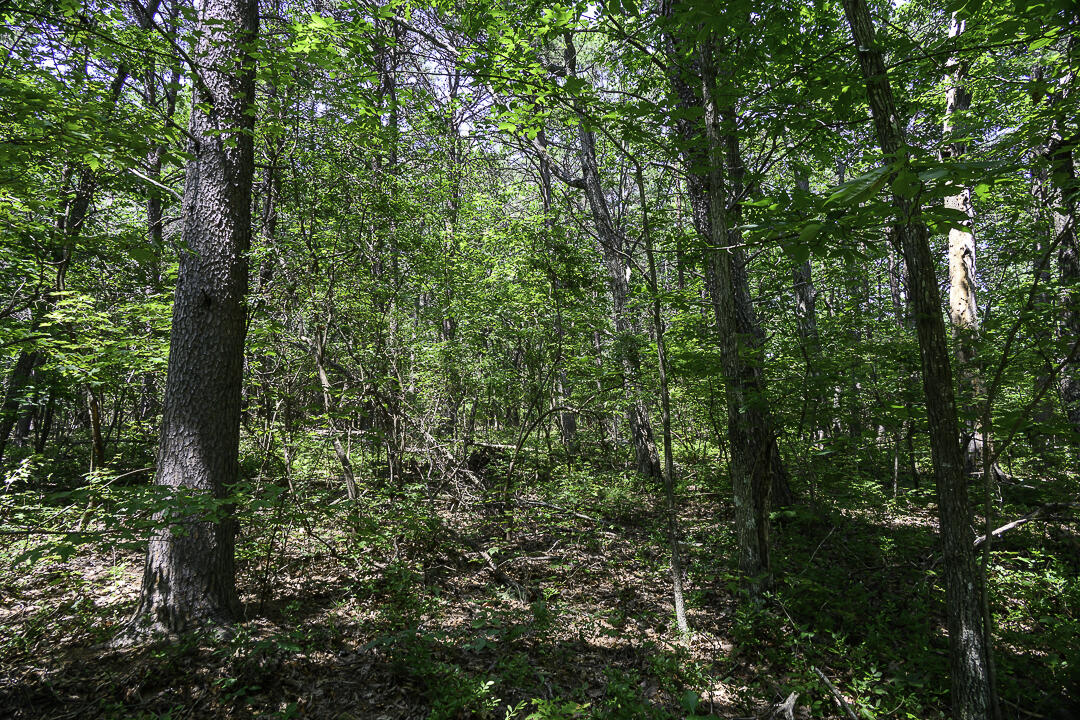 I-3 Arrow Ranch Road Rising Fawn, GA 30738 - Photo 7 of 16 Arrow Ranch-2