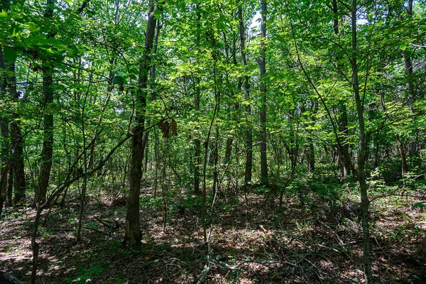 $99,500 | I-3 Arrow Ranch Road, Rising Fawn, GA 30738