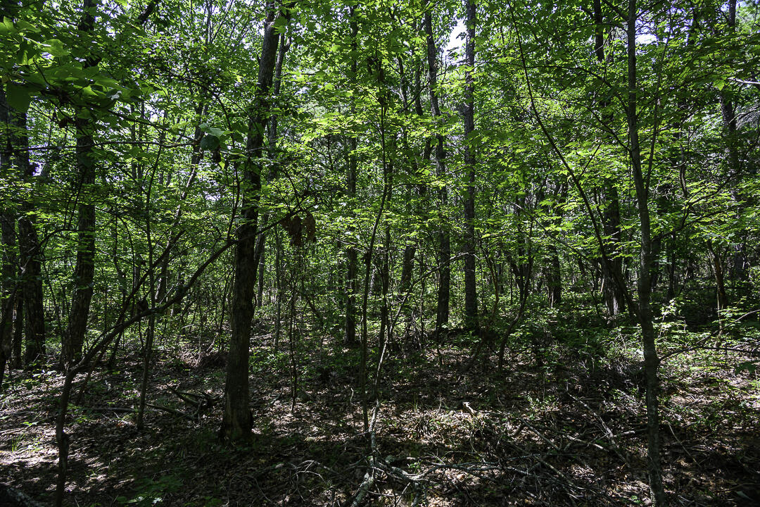 I-3 Arrow Ranch Road Rising Fawn, GA 30738 - Photo 8 of 16 Arrow Ranch-3