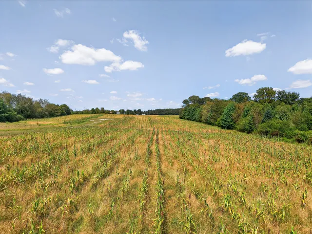 a view of an ocean and a yard