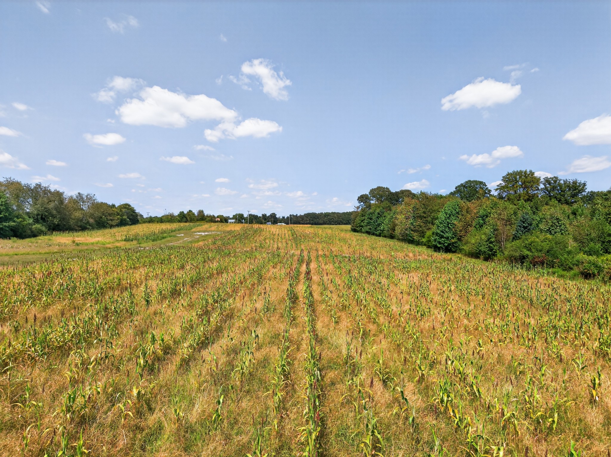 0 Flintville School Road Flintville, TN 37335 - Photo 9 of 12