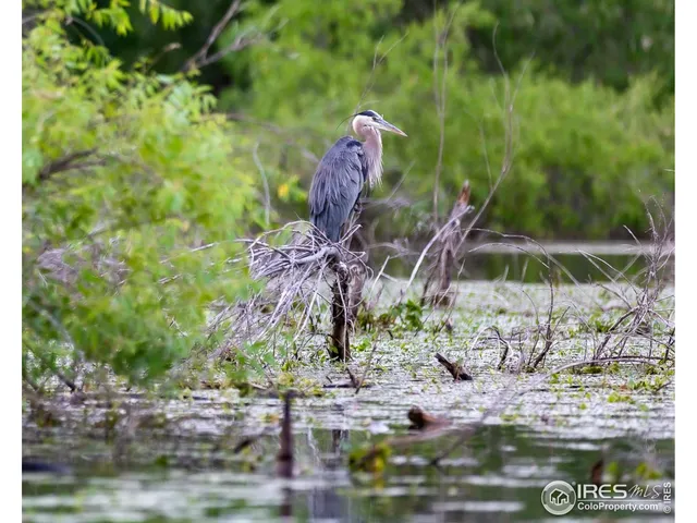 $950,000 | 459 Cape Dory Drive, Loveland, CO 80537