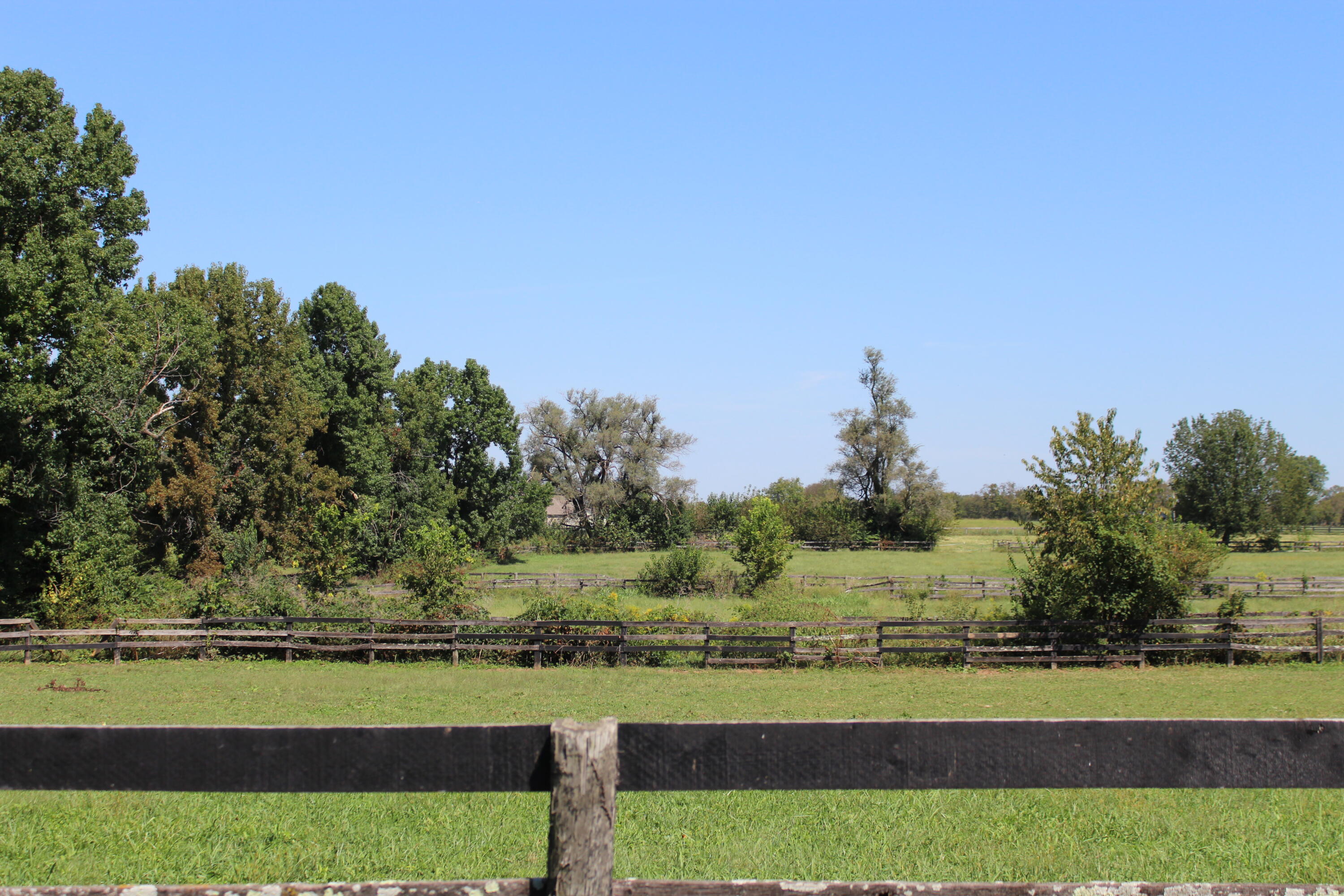 2120 Ironworks Road Lexington, KY 40511 - Photo 61 of 68 IMG_9533