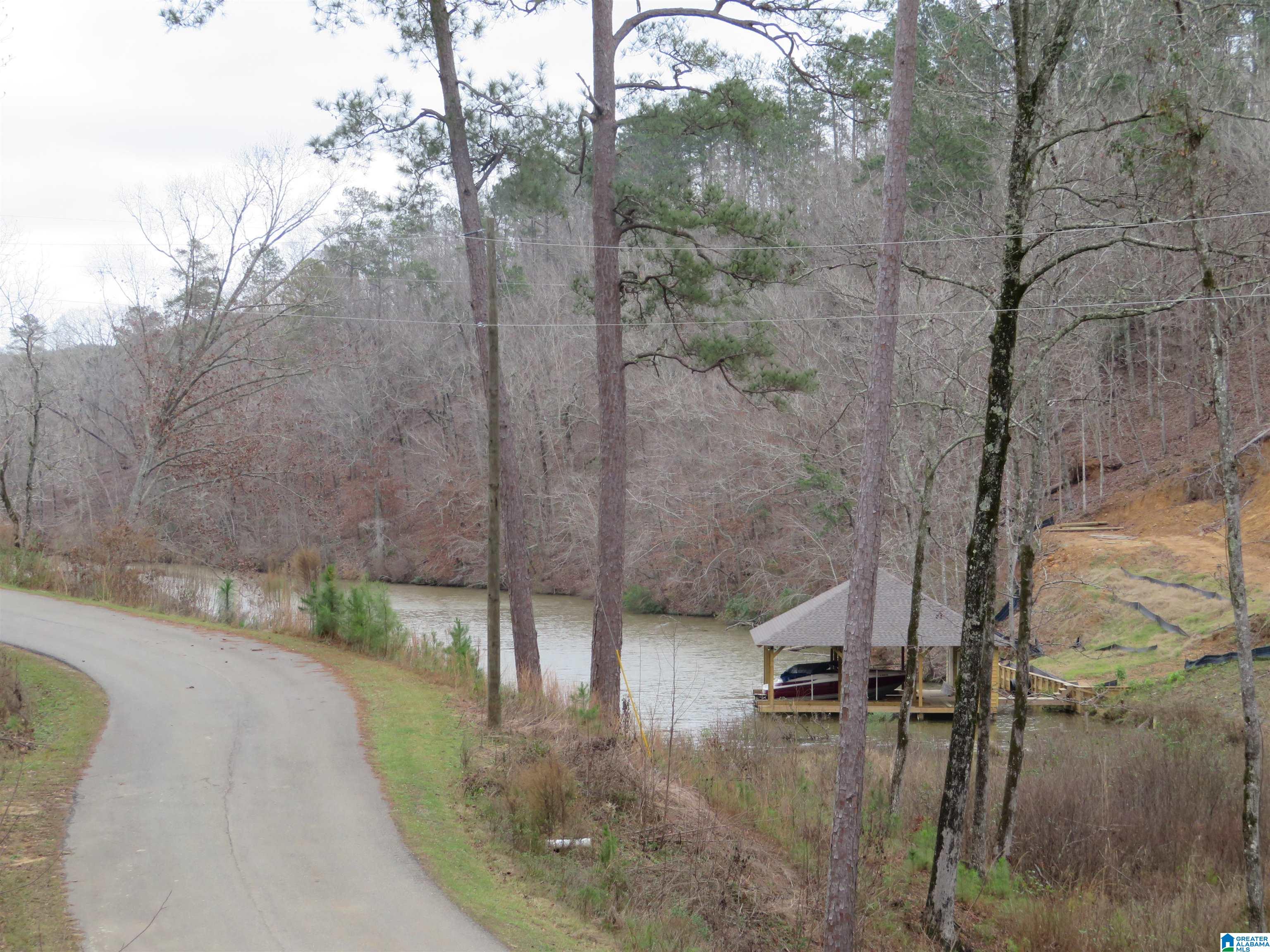 Lot 7 Preserve Road, Unit 7 Rockford, AL 35136 - Photo 10 of 11