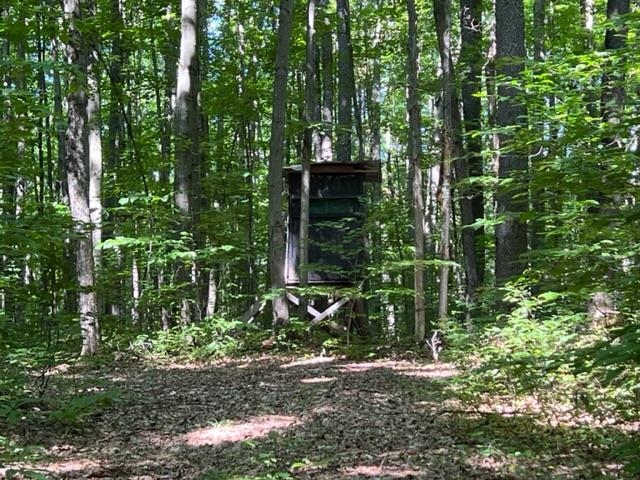 5511 North 3 Road Mesick, MI 49668 - Photo 12 of 13 1903998-12.JPG