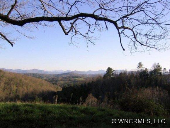 4704 Meadows Town Road Marshall, NC 28753 - Photo 1 of 22