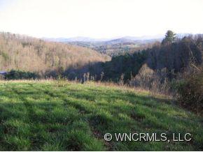 4704 Meadows Town Road Marshall, NC 28753 - Photo 3 of 22