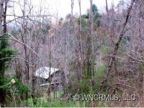 4704 Meadows Town Road Marshall, NC 28753 - Photo 6 of 22
