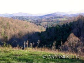 4704 Meadows Town Road Marshall, NC 28753 - Photo 7 of 22