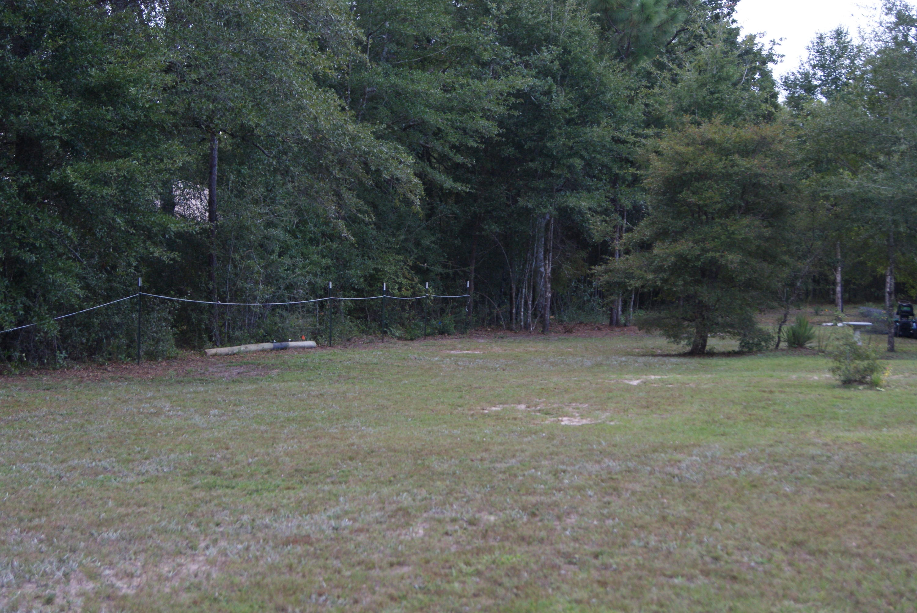 1137 Country Living Road Baker, FL 32531 - Photo 22 of 29 a backyard of a house with lots of green space and fog