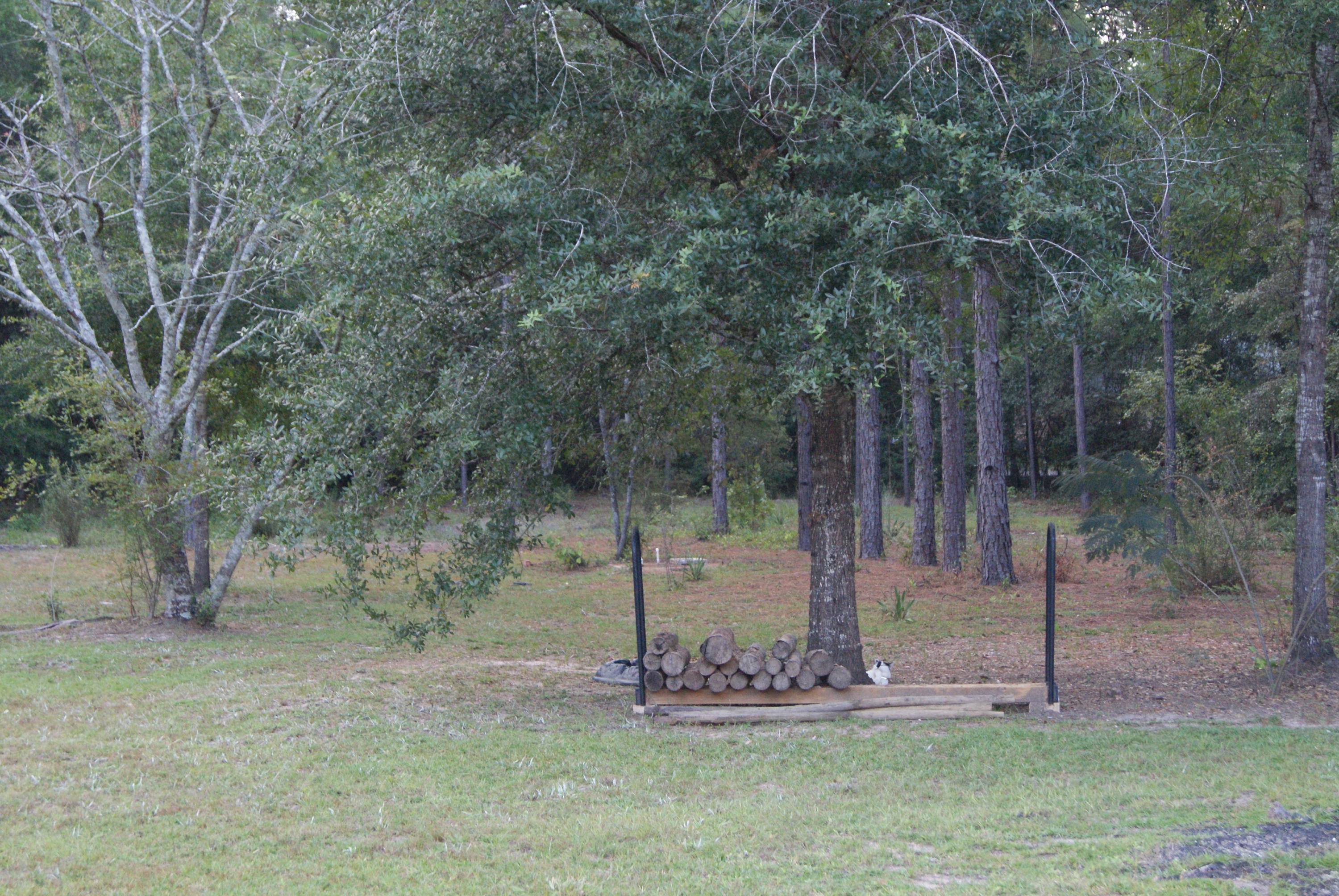 1137 Country Living Road Baker, FL 32531 - Photo 25 of 29 a view of a fire pit with large trees